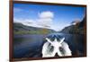 New Zealand's Doubtful Sound, Ferry Crossing Lake Manapouri-Micah Wright-Framed Photographic Print