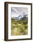 New Zealand, South Island, Canterbury, Aoraki-Mt. Cook National Park-Walter Bibikow-Framed Photographic Print