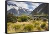 New Zealand, South Island, Canterbury, Aoraki-Mt. Cook National Park-Walter Bibikow-Framed Stretched Canvas