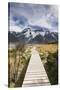 New Zealand, South Island, Canterbury, Trail through Aoraki-Mt. Cook National Park-Walter Bibikow-Stretched Canvas