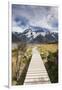 New Zealand, South Island, Canterbury, Trail through Aoraki-Mt. Cook National Park-Walter Bibikow-Framed Photographic Print