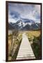 New Zealand, South Island, Canterbury, Trail through Aoraki-Mt. Cook National Park-Walter Bibikow-Framed Photographic Print