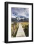 New Zealand, South Island, Canterbury, Trail through Aoraki-Mt. Cook National Park-Walter Bibikow-Framed Photographic Print