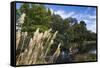 New Zealand, South Island, Christchurch, punting on the Avon River-Walter Bibikow-Framed Stretched Canvas