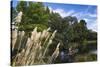 New Zealand, South Island, Christchurch, punting on the Avon River-Walter Bibikow-Stretched Canvas