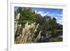 New Zealand, South Island, Christchurch, punting on the Avon River-Walter Bibikow-Framed Photographic Print