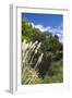 New Zealand, South Island, Christchurch, punting on the Avon River-Walter Bibikow-Framed Photographic Print