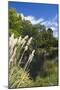 New Zealand, South Island, Christchurch, punting on the Avon River-Walter Bibikow-Mounted Photographic Print