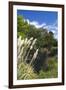 New Zealand, South Island, Christchurch, punting on the Avon River-Walter Bibikow-Framed Photographic Print