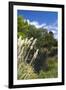 New Zealand, South Island, Christchurch, punting on the Avon River-Walter Bibikow-Framed Photographic Print