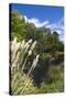 New Zealand, South Island, Christchurch, punting on the Avon River-Walter Bibikow-Stretched Canvas