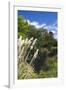 New Zealand, South Island, Christchurch, punting on the Avon River-Walter Bibikow-Framed Photographic Print