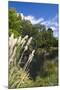 New Zealand, South Island, Christchurch, punting on the Avon River-Walter Bibikow-Mounted Photographic Print