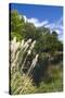 New Zealand, South Island, Christchurch, punting on the Avon River-Walter Bibikow-Stretched Canvas