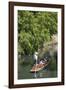 New Zealand, South Island, Christchurch, punting on the Avon River-Walter Bibikow-Framed Photographic Print