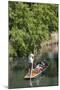 New Zealand, South Island, Christchurch, punting on the Avon River-Walter Bibikow-Mounted Photographic Print