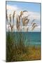 New Zealand, South Island, Coast Near Dunedin-Catharina Lux-Mounted Photographic Print