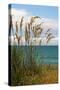 New Zealand, South Island, Coast Near Dunedin-Catharina Lux-Stretched Canvas