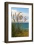 New Zealand, South Island, Coast Near Dunedin-Catharina Lux-Framed Photographic Print