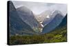 New Zealand, South Island, Fiordland National Park, Milford Sound-Rona Schwarz-Stretched Canvas