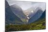 New Zealand, South Island, Fiordland National Park, Milford Sound-Rona Schwarz-Mounted Photographic Print