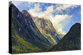 New Zealand, South Island, Fiordland National Park, Milford Sound-Rona Schwarz-Stretched Canvas