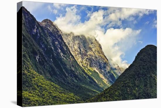 New Zealand, South Island, Fiordland National Park, Milford Sound-Rona Schwarz-Stretched Canvas