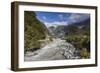 New Zealand, South Island, Fox Glacier Village, Fox Glacier hikers along Fox River-Walter Bibikow-Framed Photographic Print