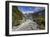 New Zealand, South Island, Fox Glacier Village, Fox Glacier hikers along Fox River-Walter Bibikow-Framed Photographic Print