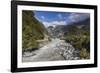 New Zealand, South Island, Fox Glacier Village, Fox Glacier hikers along Fox River-Walter Bibikow-Framed Photographic Print