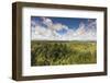 New Zealand, South Island, Hokitika, West Coast Treetops Walkway.-Walter Bibikow-Framed Photographic Print