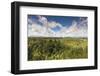 New Zealand, South Island, Hokitika, West Coast Treetops Walkway.-Walter Bibikow-Framed Photographic Print