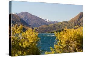 New Zealand, South Island, Lake Havea-Catharina Lux-Stretched Canvas