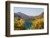 New Zealand, South Island, Lake Havea-Catharina Lux-Framed Photographic Print