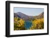 New Zealand, South Island, Lake Havea-Catharina Lux-Framed Photographic Print