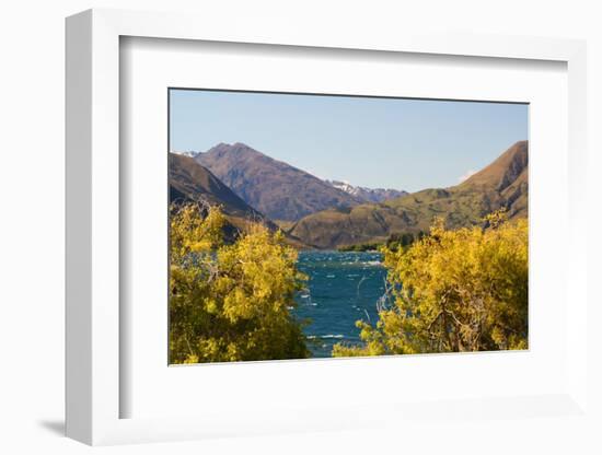 New Zealand, South Island, Lake Havea-Catharina Lux-Framed Photographic Print