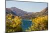 New Zealand, South Island, Lake Havea-Catharina Lux-Mounted Photographic Print