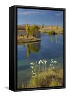 New Zealand, South Island, Mackenzie Country, Loch Cameron in Autumn-David Wall-Framed Stretched Canvas