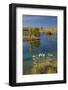New Zealand, South Island, Mackenzie Country, Loch Cameron in Autumn-David Wall-Framed Photographic Print