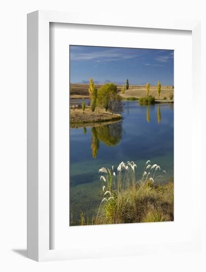 New Zealand, South Island, Mackenzie Country, Loch Cameron in Autumn-David Wall-Framed Photographic Print