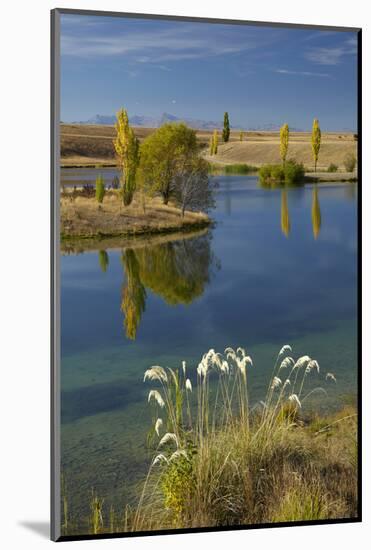 New Zealand, South Island, Mackenzie Country, Loch Cameron in Autumn-David Wall-Mounted Photographic Print