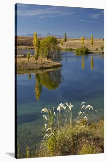 New Zealand, South Island, Mackenzie Country, Loch Cameron in Autumn-David Wall-Stretched Canvas