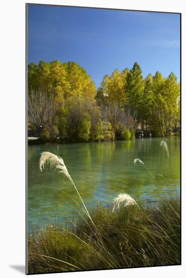 New Zealand, South Island, Mackenzie Country, Ohau River in Autumn-David Wall-Mounted Photographic Print