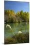 New Zealand, South Island, Mackenzie Country, Ohau River in Autumn-David Wall-Mounted Photographic Print