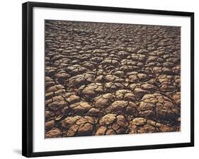 New Zealand, South Island, Marlborough Sounds, Cape Jackson-Thonig-Framed Photographic Print