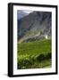 New Zealand, South Island, Otago, Gibbston, vineyard-Walter Bibikow-Framed Photographic Print