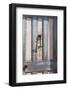 New Zealand, South Island, Otago, Moeraki, door detail with anchor-Walter Bibikow-Framed Photographic Print