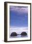 New Zealand, South Island, Otago, Moeraki, Moeraki Boulders, dawn-Walter Bibikow-Framed Photographic Print