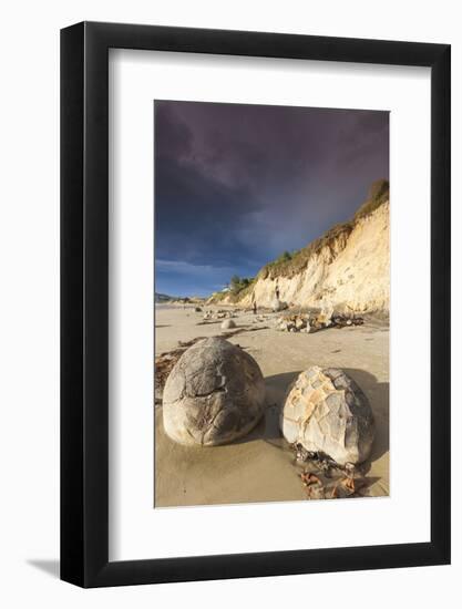 New Zealand, South Island, Otago, Moeraki, Moeraki Boulders, dawn-Walter Bibikow-Framed Photographic Print