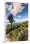 New Zealand, South Island, Otago, Otago Peninsula, Tropical Gardens-Walter Bibikow-Framed Photographic Print